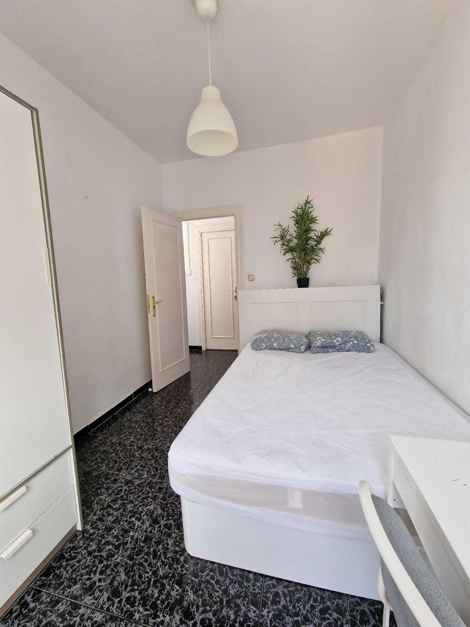 3 Rooms Con Parking Especerias مالقة المظهر الخارجي الصورة